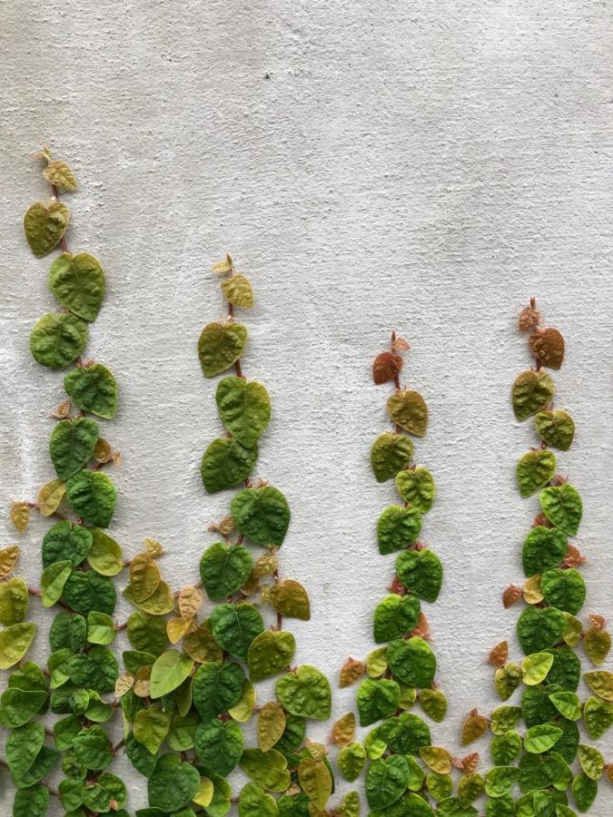 满洲乡月过山丘公寓 外观 照片